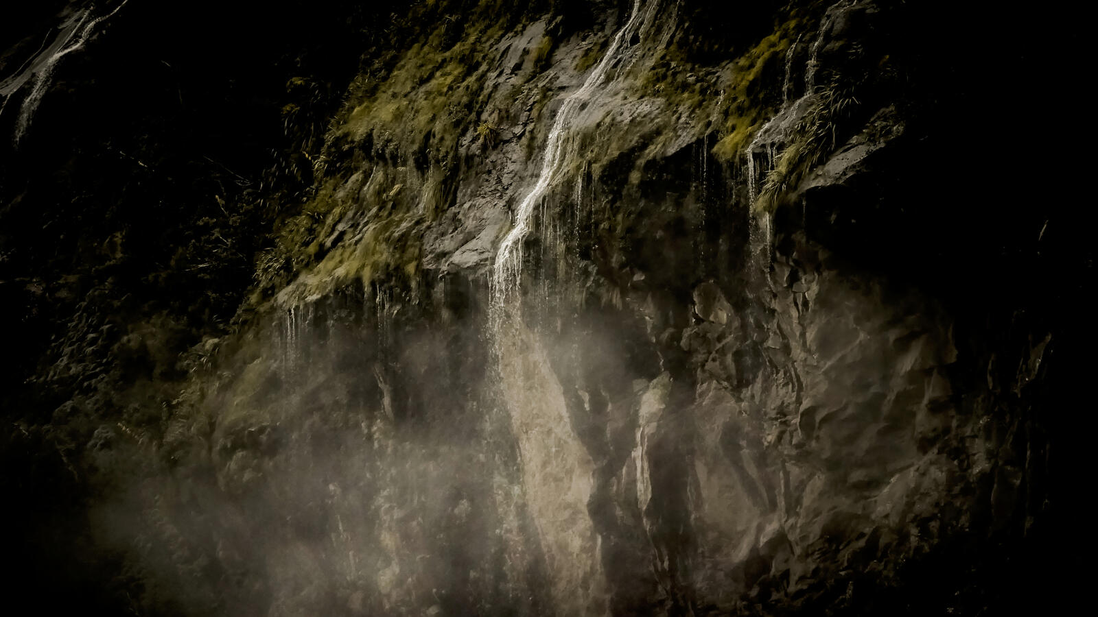 Untitled Untitled